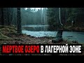 ОЗЕРО В ЛАГЕРНОЙ ЗОНЕ НКВД: Почему вокруг него Исчезли все Животные?