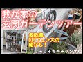 【ガーデン】【DIY】#16 我が家の玄関ガーデンツアー     DIY多肉棚とすのこフェンスの紹介