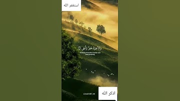 قد  افلح من تزكى وذكر اسم ربه فصلى 🍃ايات من سورة الاعلى