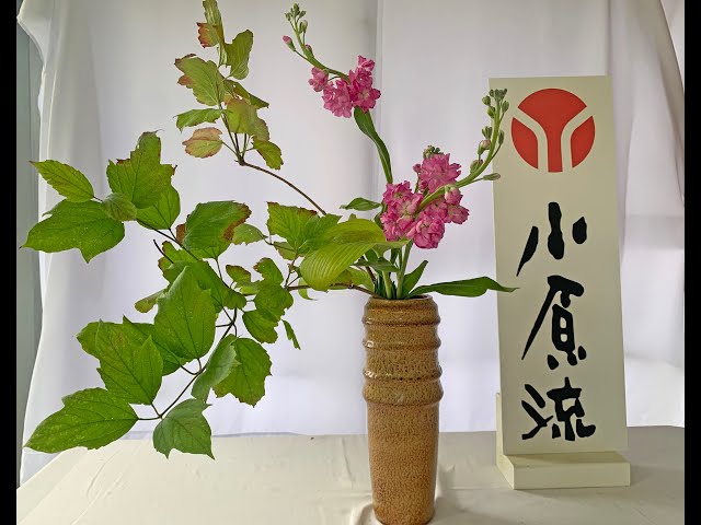 A Guide to Ikebana Vases – Miss Plant