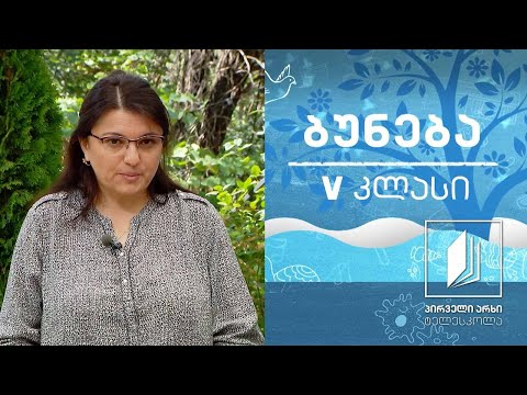 ბუნება, V კლასი - ცხოველთა ქცევა #ტელესკოლა