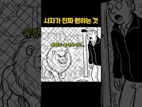 사자가 먹이를 먹지 않는 이유 thumbnail