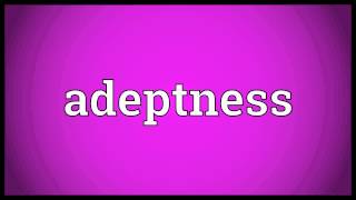 Adeptness Meaning