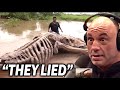 Joe Rogan - They’ve Discovered The Biggest Ever Land Animal To Walk The Earth | Dinosaur Documentary