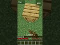 Insane minecraft ladder clutch#minecraft#clutch#fyp#gaming