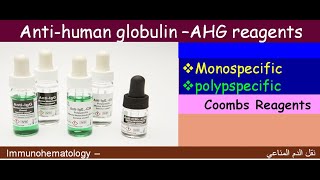 Lecture 1-11 Anti Human Globulin  reagents  AHG