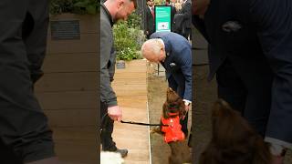 The King and Queen, joined by members of the Royal Family, attend the RHS Chelsea Flower Show 🌷