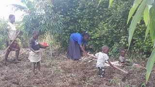 Daily activities || Primitive Traditional Life || A day in the Farm Uganda Africa Village Life