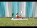 またね