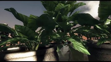 Crysis Sandbox 2 - The Pissing Pool (HD 720 Experiment)