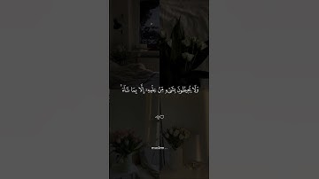 الا بذكر الله تطمئن القلوب #القرآن_الكريم#راحة_نفسية #القرآن_حياه #تلاوة_خاشعة#اية_الكرسي