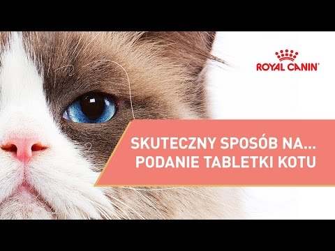 Wideo: Sinulox Dla Kotów W Tabletkach 50 Mg I Zastrzykach: Instrukcje Użytkowania, Dawkowanie Leku, Przeciwwskazania, Analogi I Recenzje