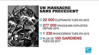 Stop the poaching of wildlife!