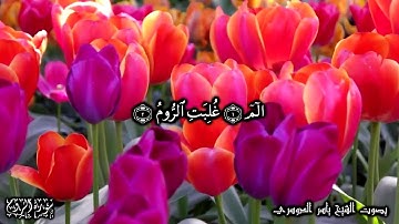 30 سورة الروم Surat ArRoom - بصوت الشيخ ياسر الدوسري