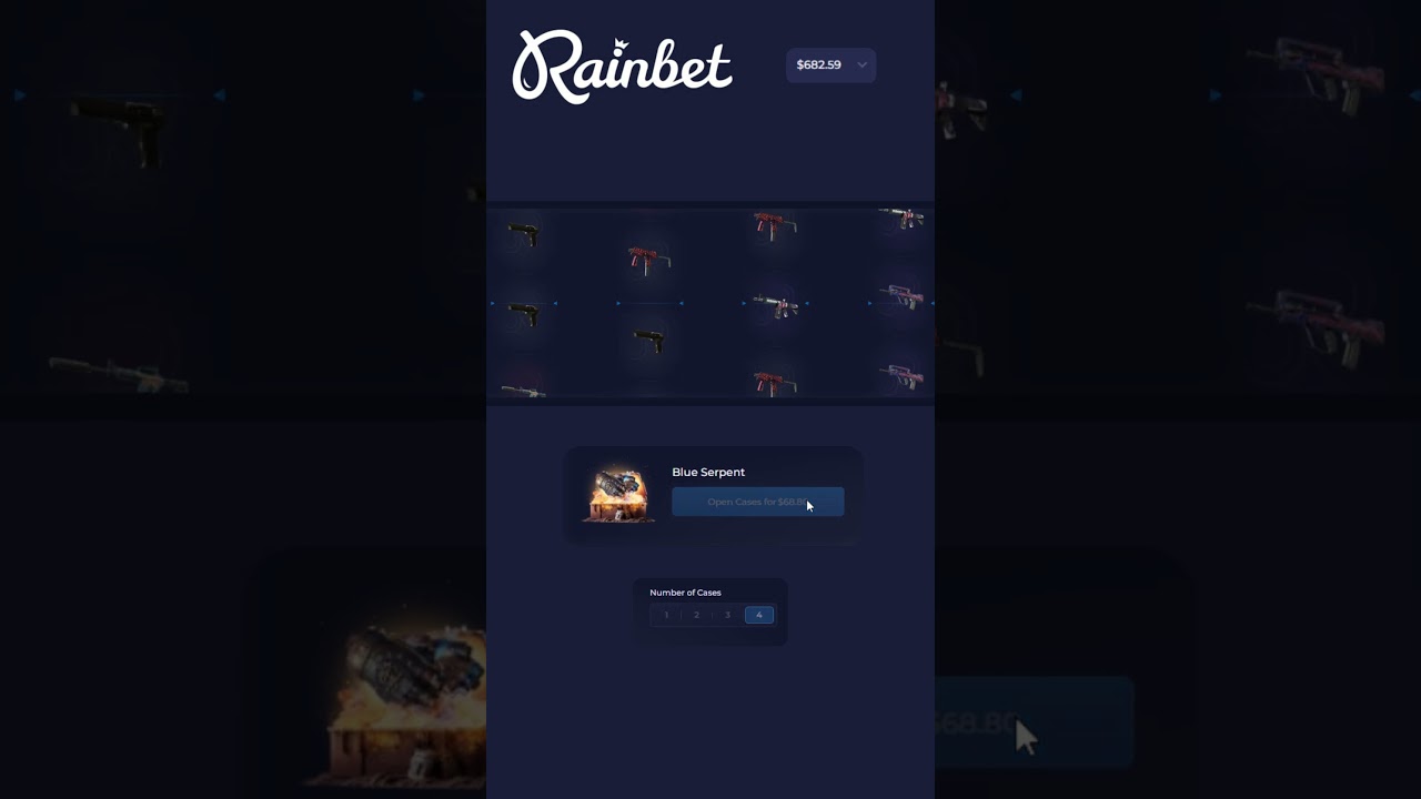 🎯 "THE MOST EXPENSIVE CASE – WAS IT WORTH IT? 😱💵"