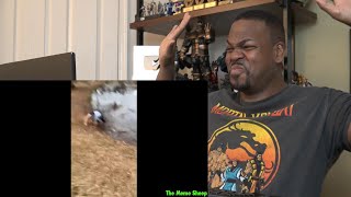 Try Not to Die Laughing  2  Reaction!