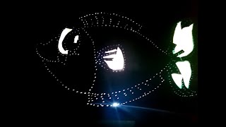 El Işi Kağıdı Ve Renkli Jelatin Ile Süs Balığının Işıklandırmasını Yaptık.