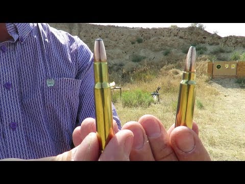 30-30-winchester-vs.-300-savage