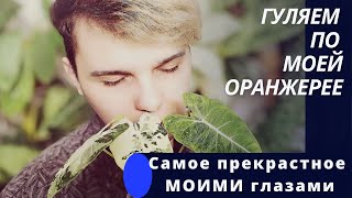 Самые ДУШЕВНЫЕ МОМЕНТЫ/Джунгли в квартире