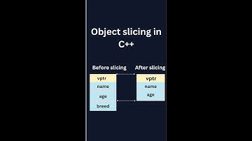 Why Your Polymorphism Breaks | C++ Object Slicing Explained