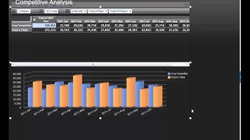 IBM Cognos Insight Demo (Inglés)