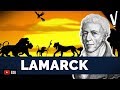 Lamarck o pioneiro da evoluo cincias da natureza