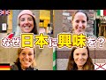 【観光客にインタビュー】外国人に日本に来た理由を聞いてみた!