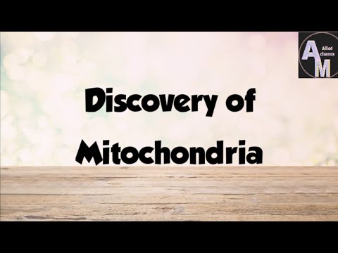 Video: Kdo jako první objevil mitochondrie?