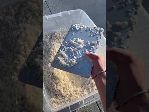 Guy Accidentally Leaves Water Damaged Laptop in Container of Rice Outdoors During Rain - 1387504-2