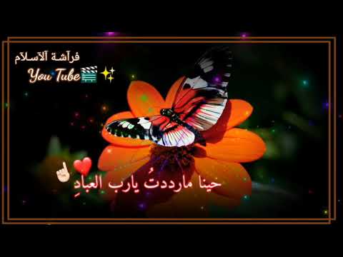 اشرقت نفسي بنور من فؤادي