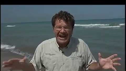 Rick Crosslin Science - Indiana Expeditions 202 Earth Science Limestone