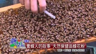 養蜂人的故事天然保健品蜂花粉 