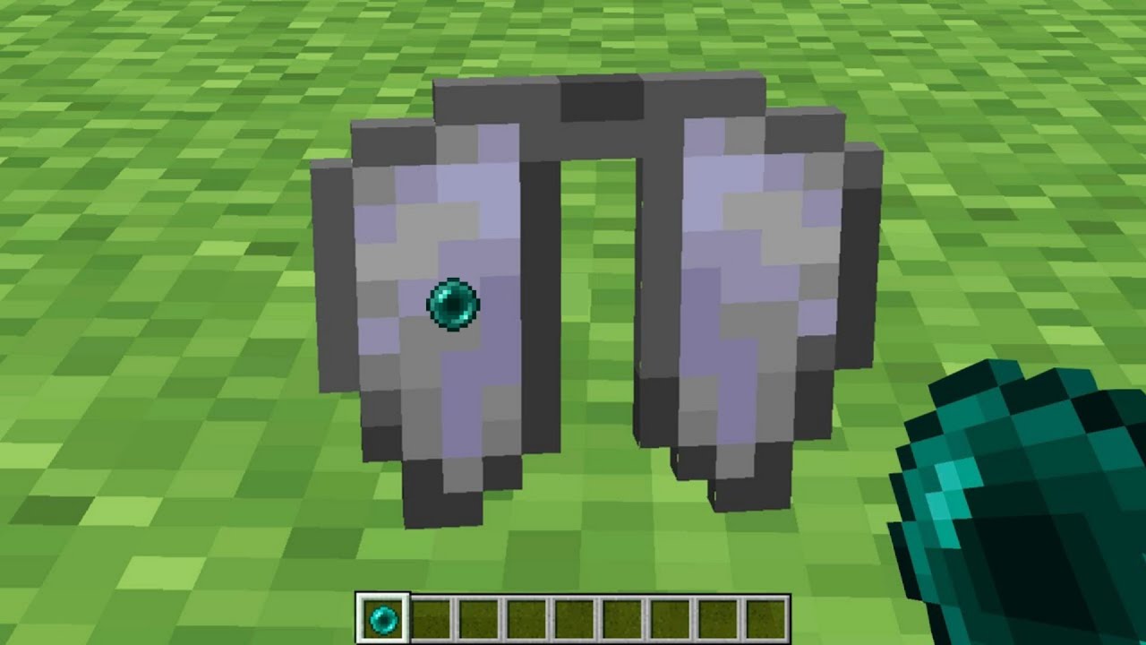 what's inside the elytra? - YouTube