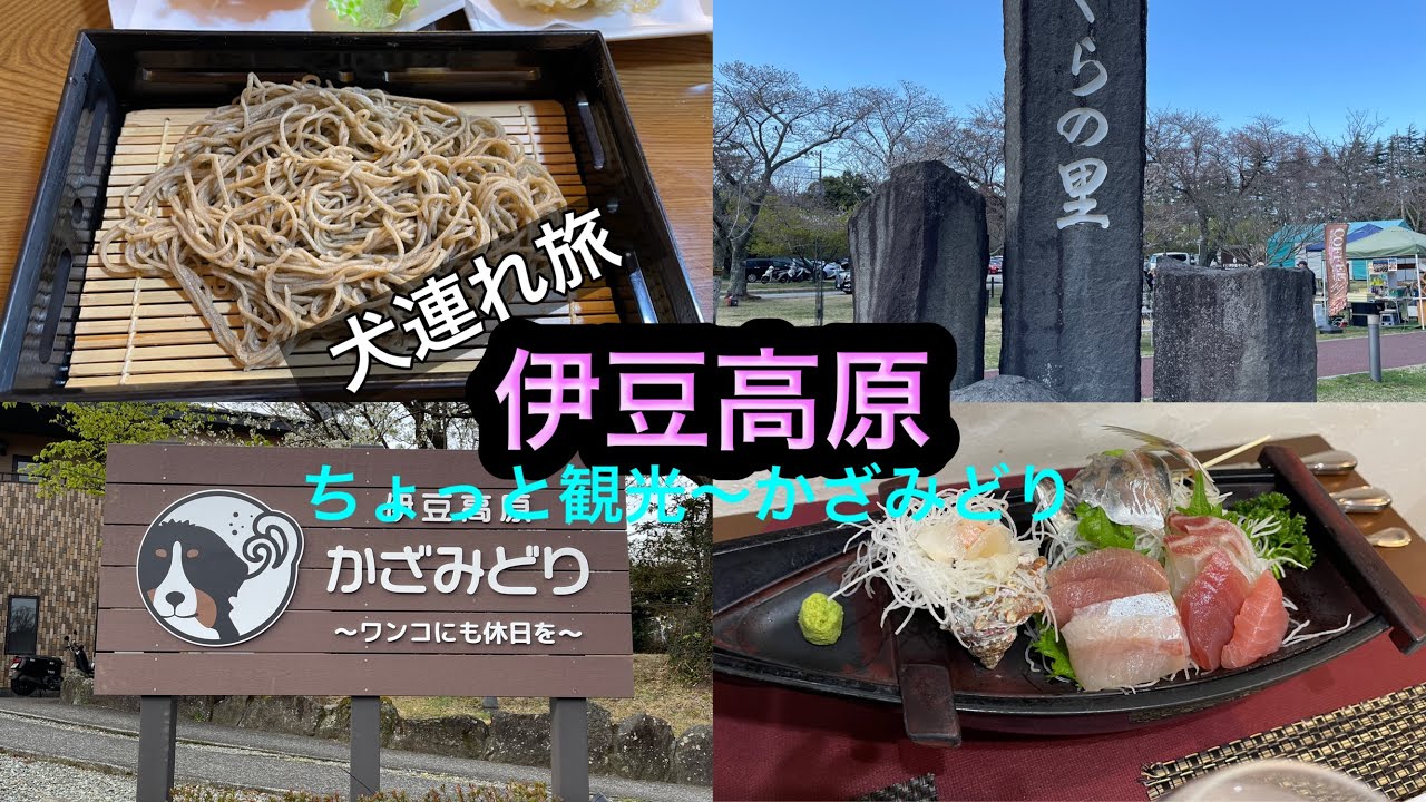 【犬連れ旅】伊豆高原〜ちょっと観光・かざみどり〜