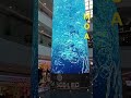 MOA 360 LED #MOA #mdcltvofficial #mdcltv #m18 #highlights