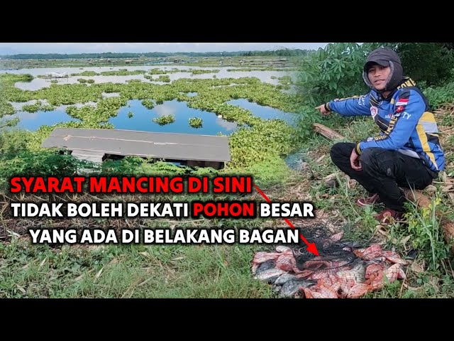 DARI SEKIAN RIBU PEMANCING BELUM TENTU SEBERUNTUNG ORANG INI || mancing mania class=