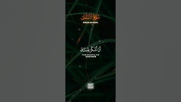 فتبسم ضاحكا من قولها وقال رب أوزعني انشكر نعمتك 😴💚 سورة النمل القارئ بلال دربالي #اكسبلور