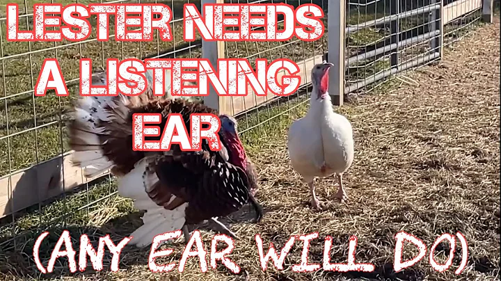 Lester Needs A Listening Ear