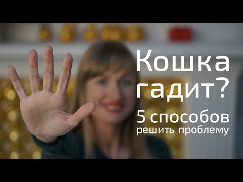 Взрослая КОШКА ГАДИТ. 5 действенных способов решить проблему