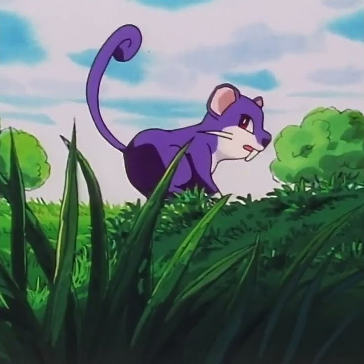 #019 Rattata's first appearance in the anime! #shorts #pokemon #anime