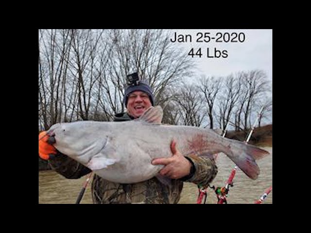 Tangling With Catfish Rod - First Big Fish 