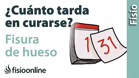 ¿Cuánto tarda en curarse un dedo roto sin escayola?