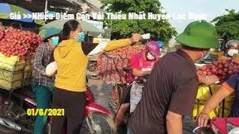 Bất Ngờ Giá Vải Thiều Lục Ngạn Bắc Giang Tại Nơi Nhiều Điểm Cân Nhất Lục Ngạn l Luc Ngạn Litchi