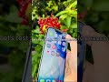 Is the iPhone 13 Pro Max Still a Beast? #Shorts #Apple