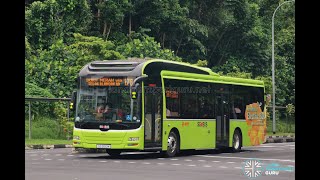 Retrofitted Electric Bus (SG3100M) starts service on Bus 176