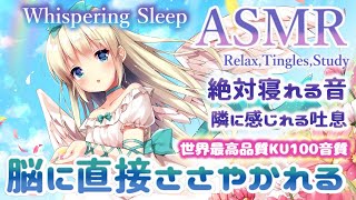 ASMR Ear Massage, Sleep, Relax, Tingle【Whispering/KU100睡眠導入】