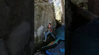 Ziggy Stardust, 6b. Magic Wood