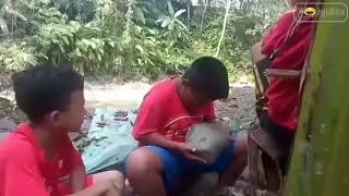 Mitos | ngapak kebumen #polapike #ngapakkebumen