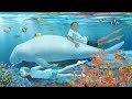 Children of the Sea – Trailer – SFF 19