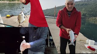 ΤΟ ΖΥΜΑΡΙ, ΟΙ ΣΑΡΓΟΙ ΚΑΙ ΤΟ.. ΦΕΓΓΑΡΙ!!